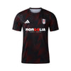Fulham Pre-Partido 25/26