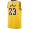 Los Angeles Lakers Icon Edition 2023-2024 | NBA