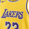 Los Angeles Lakers Icon Edition 2023-2024 | NBA